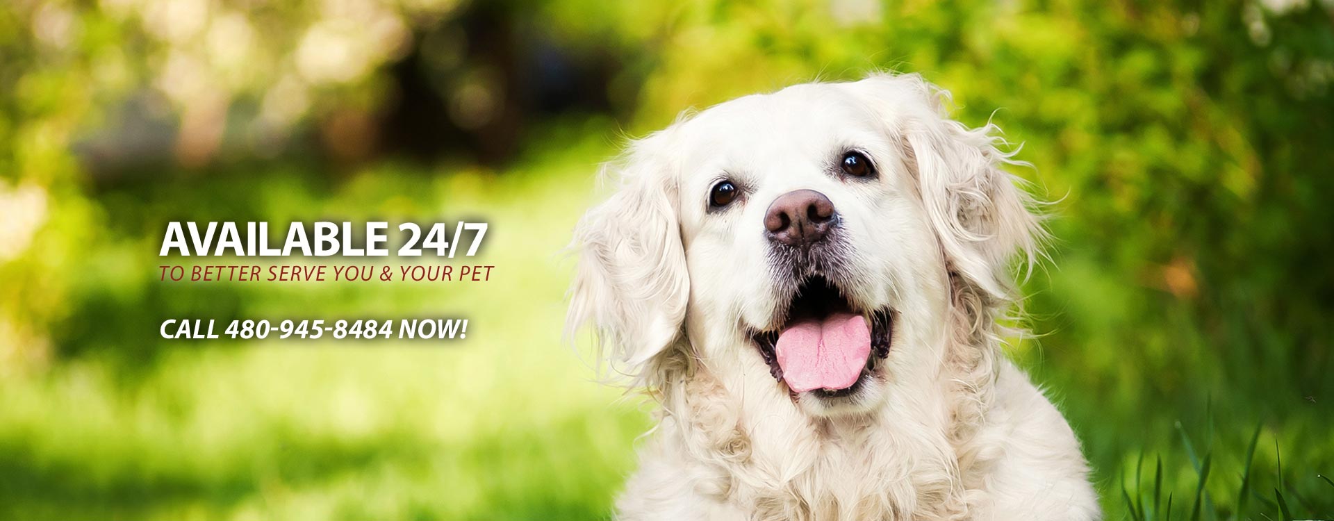 24 Hour Carefree Veterinary Service
